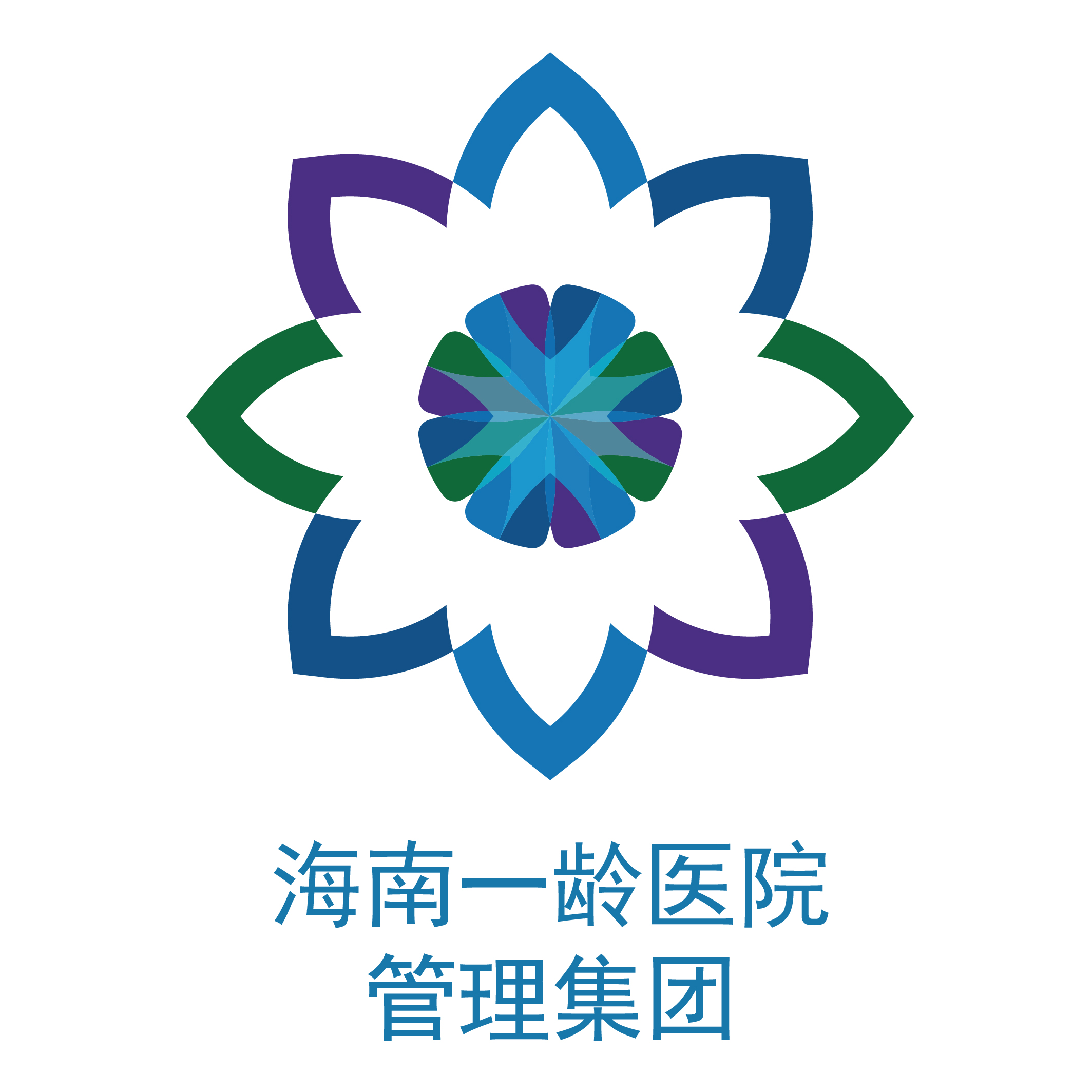 海南一龄医院管理集团